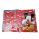 Diario Scuola 10 Mesi Mickey Mouse - Copertina Imbottita, Quadretti, Ufficiale Disney"