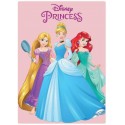 "Plaid Disney Principesse - Coperta in Morbido e Caldo Pile per Bambina - 100x140 cm, Ideale per Gioco e Relax"